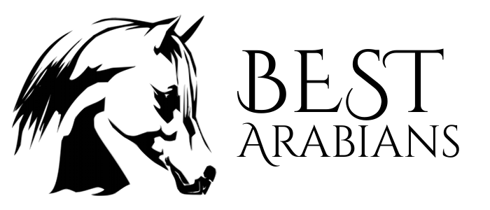 Best Arabians Logo